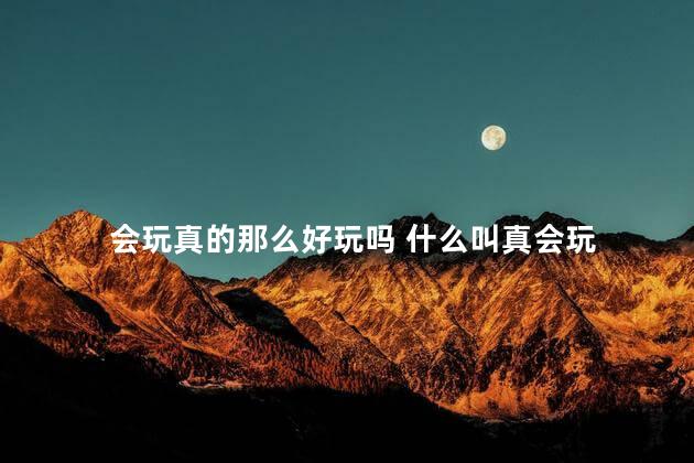 会玩真的那么好玩吗 什么叫真会玩